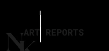 Nazli Kok Art Reports