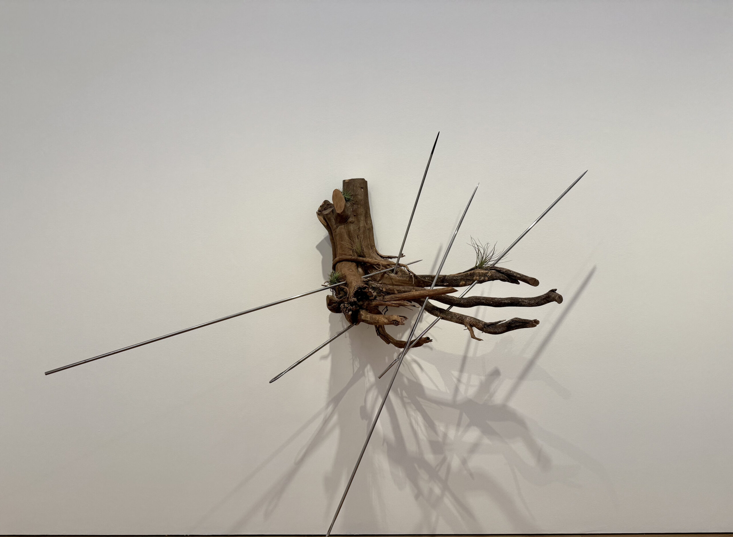 OTOBONG NKANGA, I DREAMT OF YOU IN COLORS, MCBA LAUSANNE