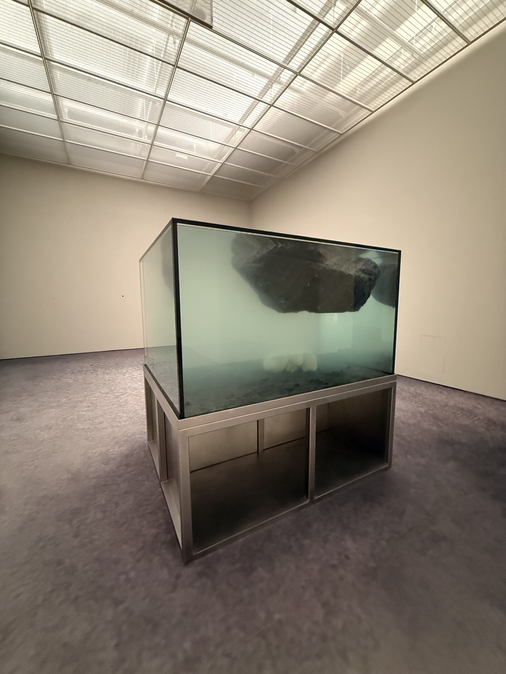 PIERRE HUYGHE AT THE FONDATION BEYELER BASEL SWITZERLAND